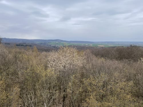 Forsthaus Winterstein - FFH-Gebiet Eckkopf - Kastell Kapersburg