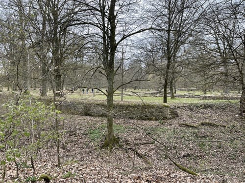 Forsthaus Winterstein - FFH-Gebiet Eckkopf - Kastell Kapersburg