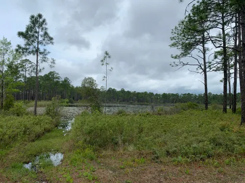 10 Best Hikes and Trails in St Marks National Wildlife Refuge | AllTrails