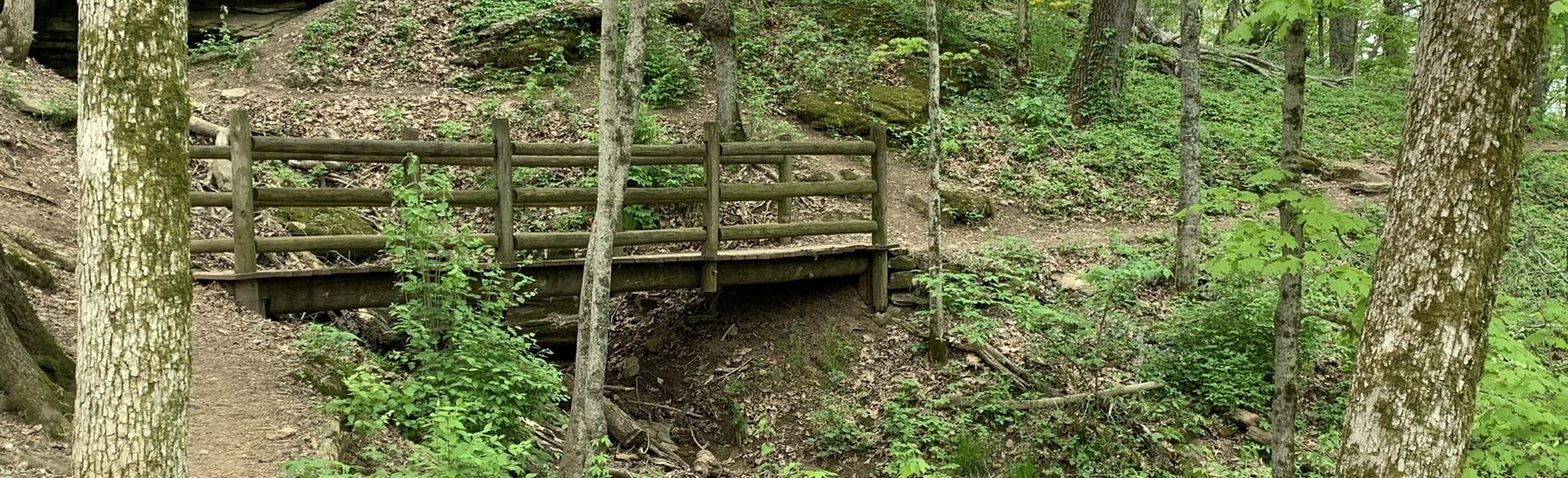Mossy Ridge and Harpeth Woods Loops: 322 Reviews, Map - Tennessee ...