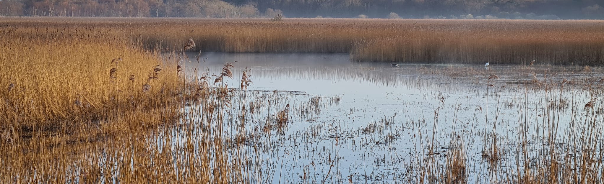 Dunwich and Sandymount Covert, Suffolk, England 38 Reviews, Map