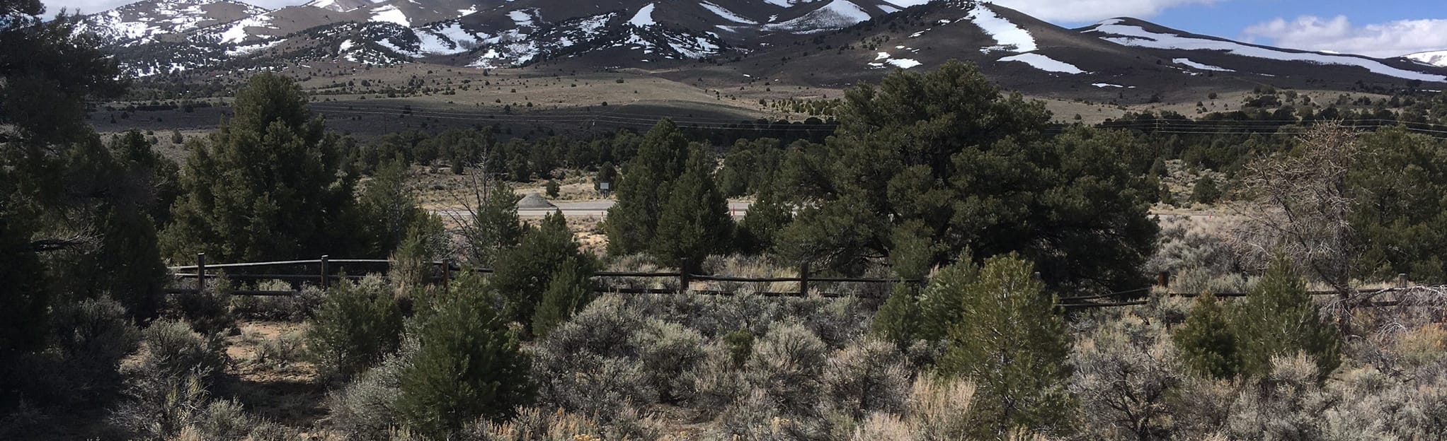 Bob Scott Campground Trail, Nevada 6 Reviews, Map AllTrails