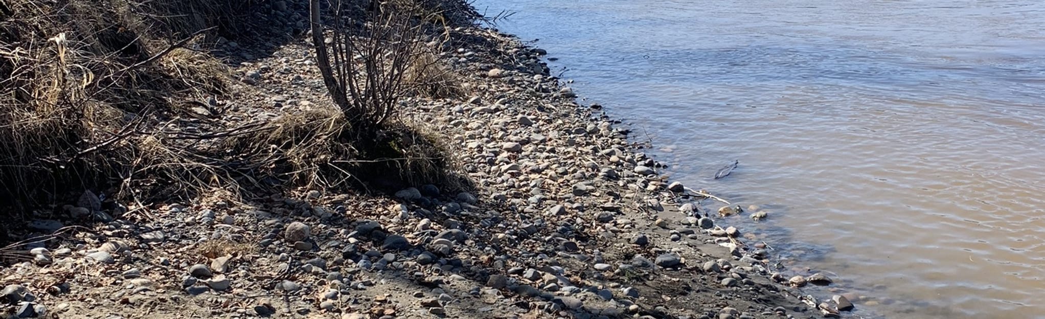 Wilkins Park Loop 13 Reviews, Map British Columbia, Canada AllTrails