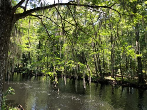 Best Hikes and Trails in Edisto Memorial Gardens | AllTrails