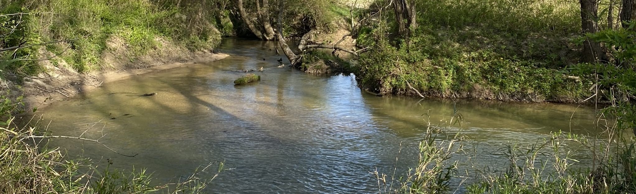 Fletcher Loop 517 Reviews, Map North Carolina AllTrails