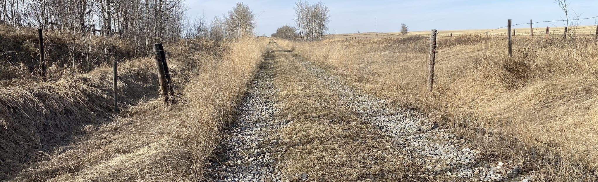 Acme to Beiseker Trail, Alberta, Canada 11 Reviews, Map AllTrails