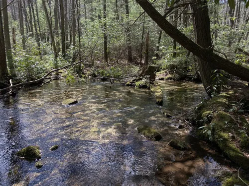 10 Best Hard Trails in Bald Eagle State Forest | AllTrails