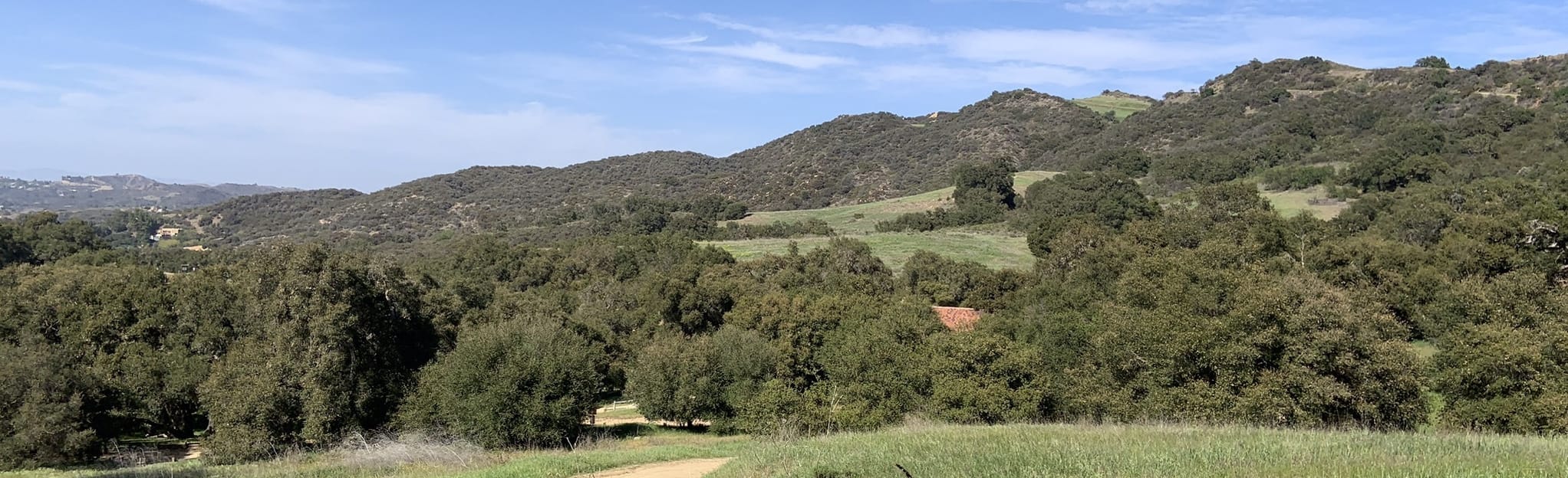 Trippet Ranch to Mulholland Drive Loop 6.686 foto's Californië