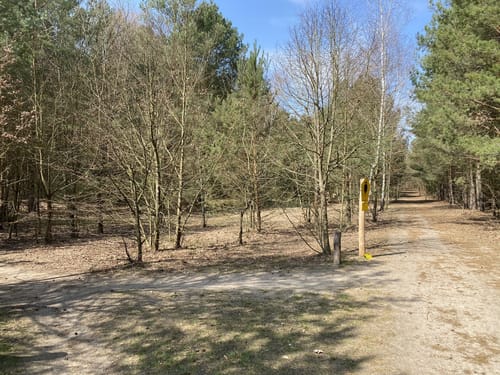 Sarcower See - Jungfernsee - Schlosspark Sacrow