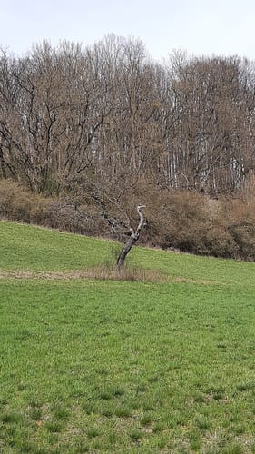 Zum Zabelstein