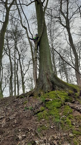 Zum Zabelstein