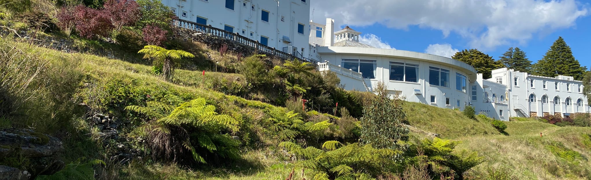 Medlow Bath Loop via Tuckers Lookout and The Colosseum 32 Reviews, Map New South Wales