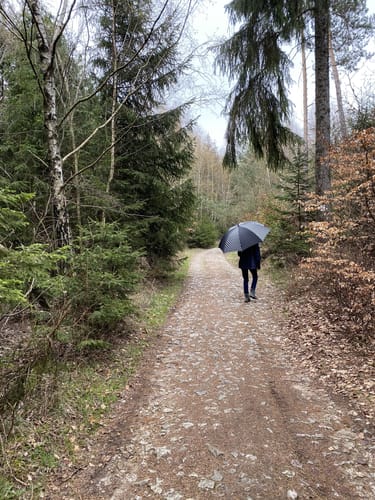 Runde am Teufelsfels