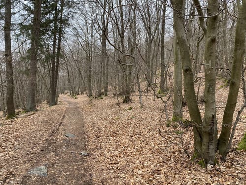 Runde am Teufelsfels