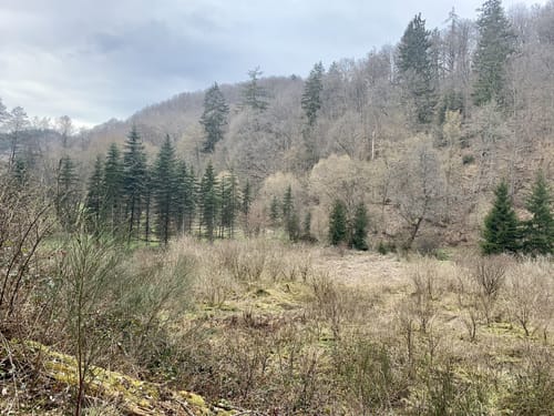 Wershofen - Eichenbach - Fuchshofen