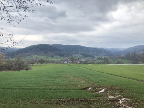 Auf dem Limespfad bei Murrhardt