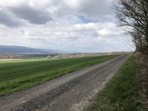 Bergmannsweg