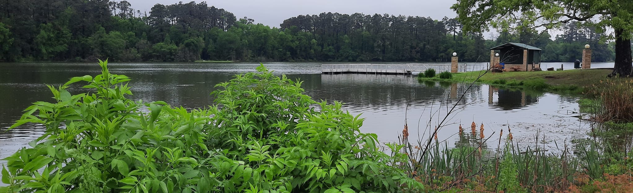 Ellen Trout Memorial Lake 83 Reviews, Map Texas AllTrails