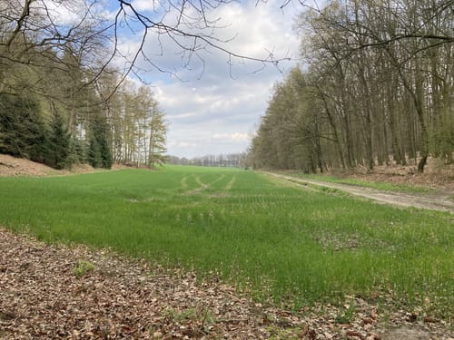 Uhlenhof Rundweg A6