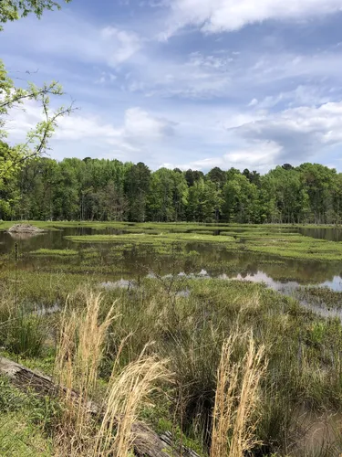 Best Hikes and Trails in Beaver Marsh Nature Preserve | AllTrails