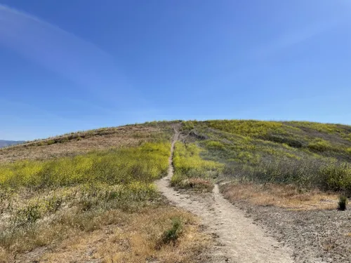 10 Best Trails And Hikes In Irvine | AllTrails