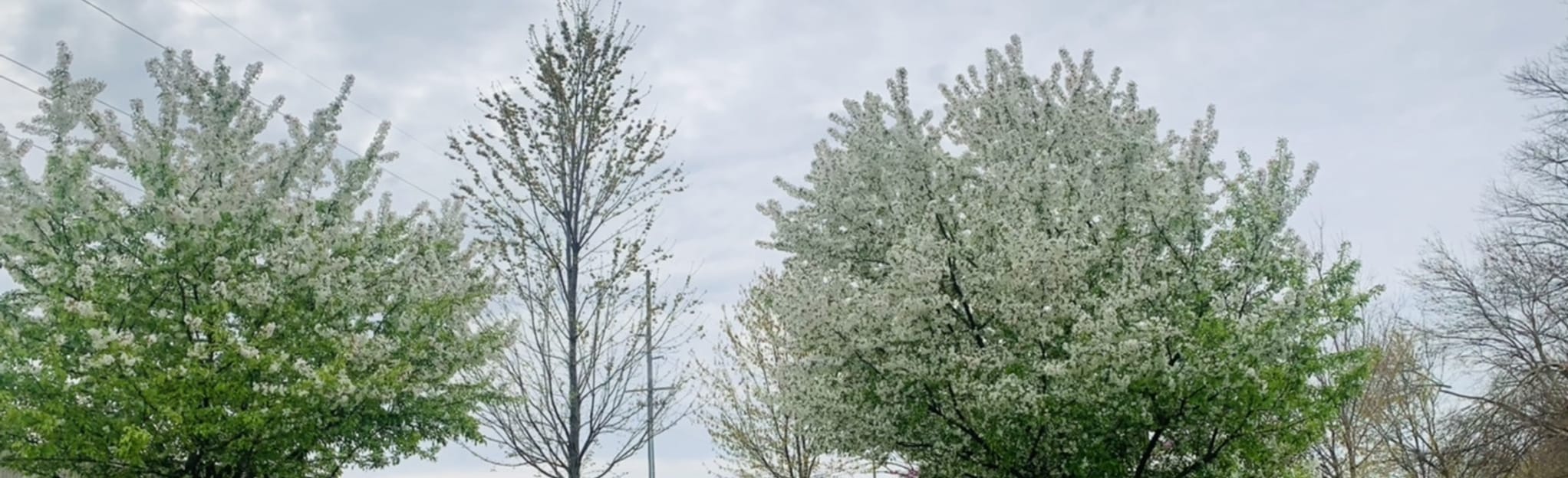 Cedar Creek Trail, Illinois 17 Reviews, Map AllTrails