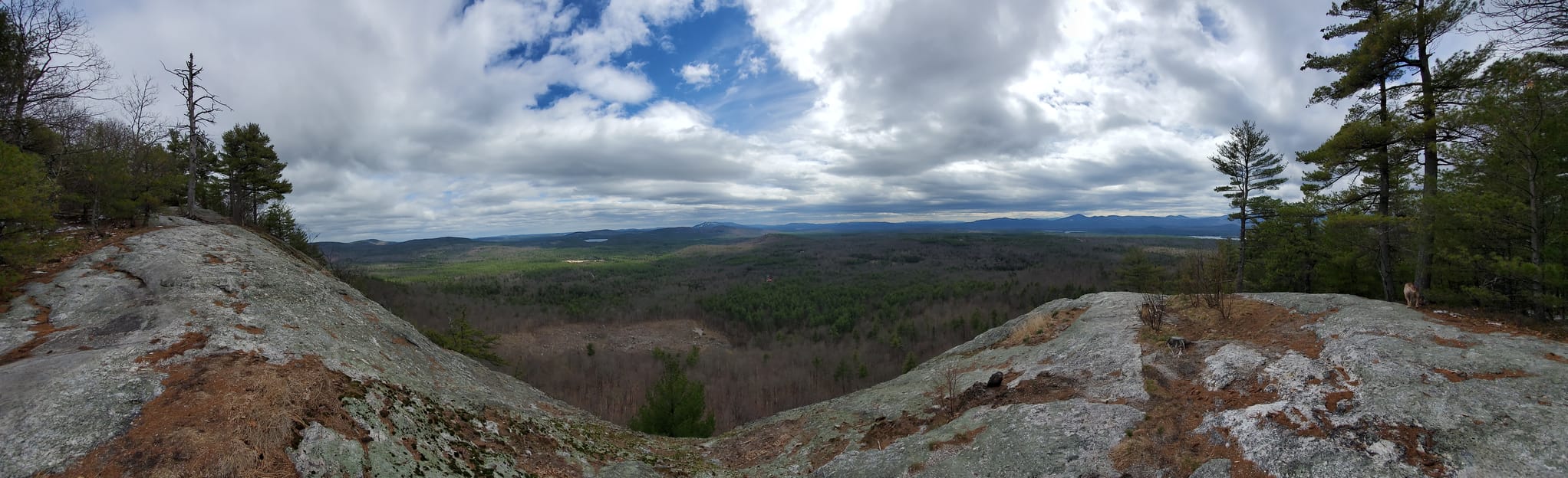 Mount Sabattus Trail 288 Reviews, Map Maine AllTrails