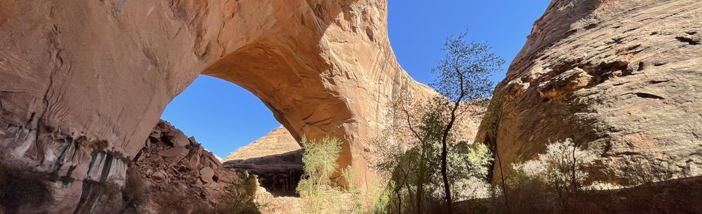 Rare minnows restored to Arkansas River – Coyote Gulch