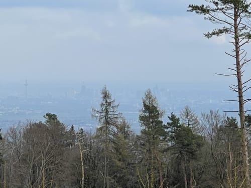 Von Hohemark zum Kolbenberg