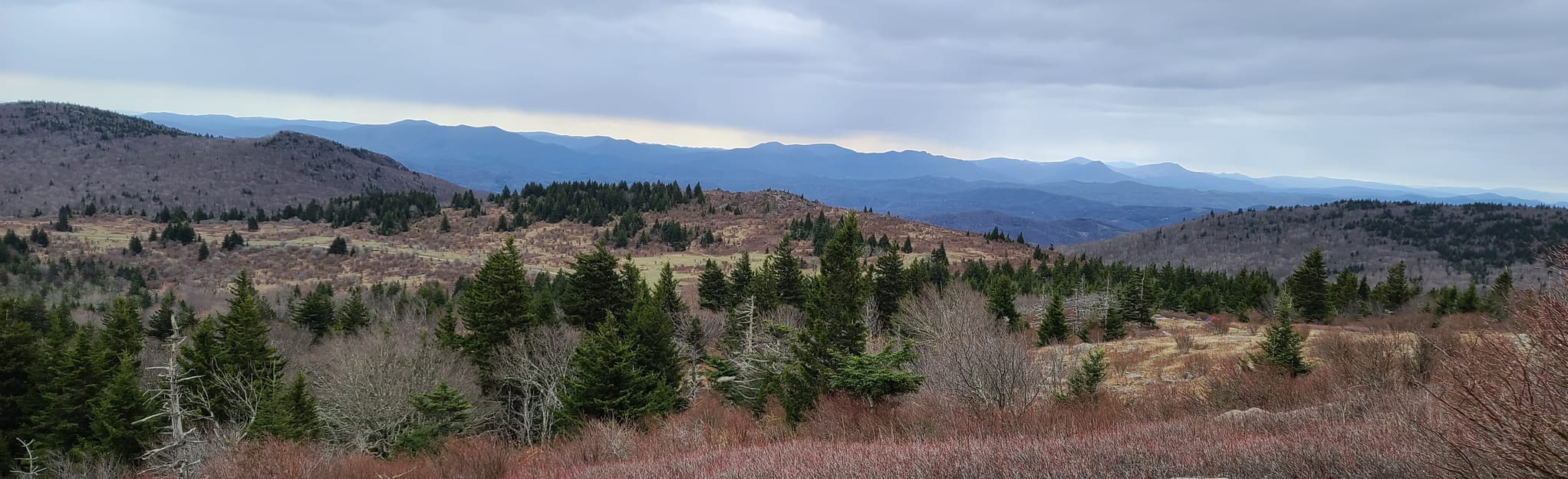 Scales to Wilburn Ridge Loop, Virginia 89 Reviews, Map AllTrails