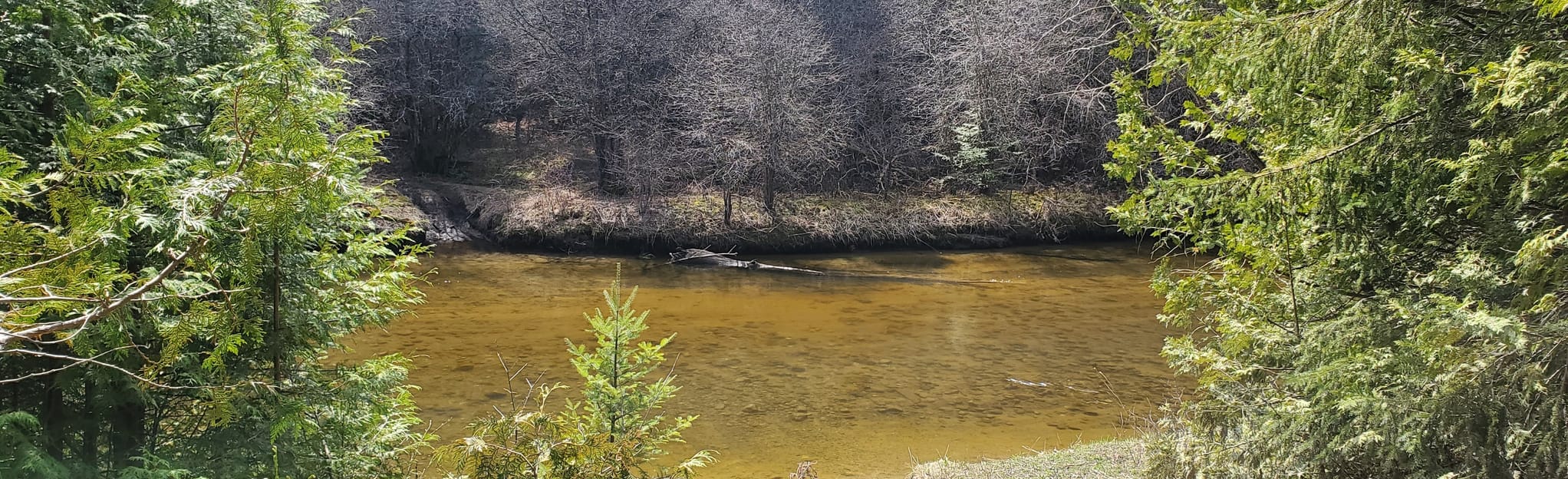 Pefferlaw Tract (Lake Ridge Road), Ontario, Canada 37 Reviews, Map