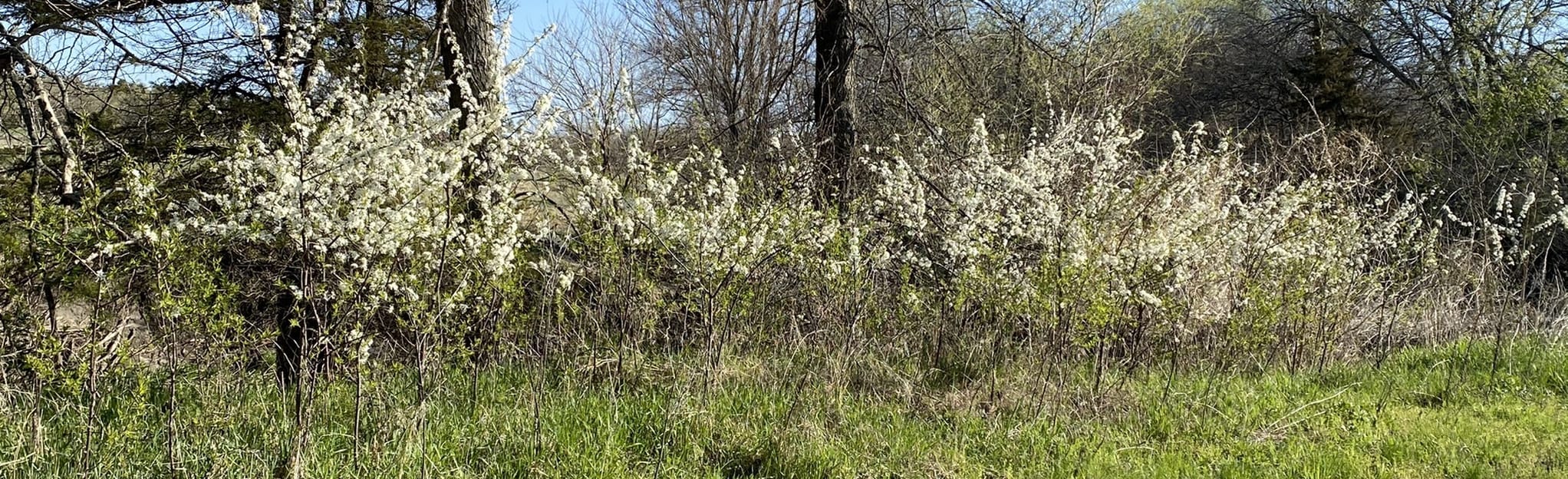 Plum Creek Trail 26 Reviews, Map Nebraska AllTrails