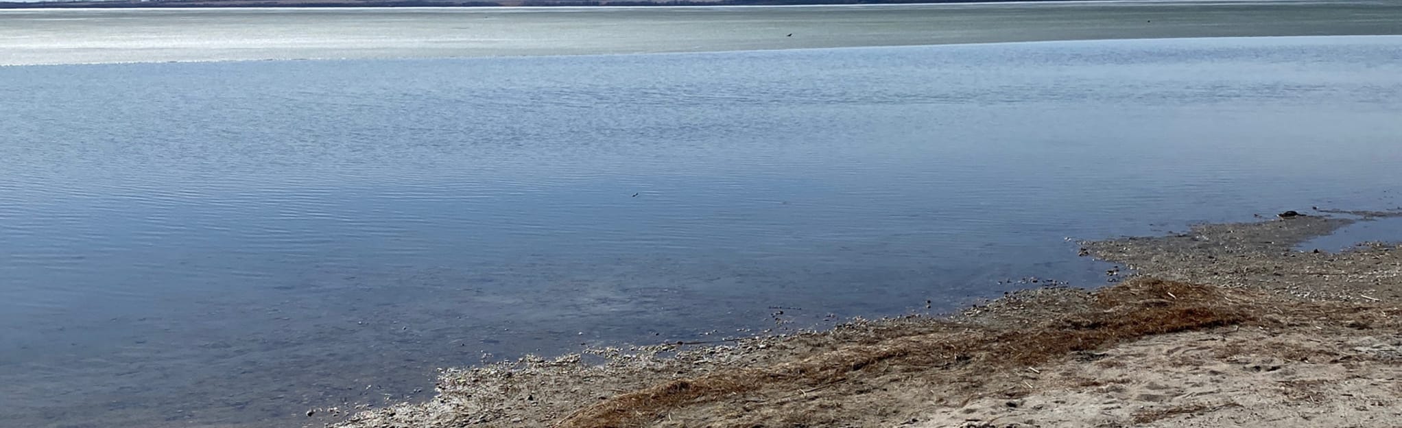 Meridian Beach Access Alberta, Canada AllTrails