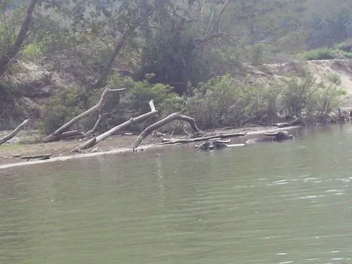 Best Hikes and Trails in Pak xeng AllTrails