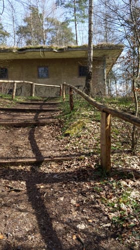 Lohheide ab Cordingen