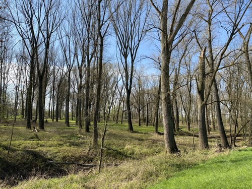 Rundweg Siegmündung