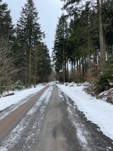 Rund um die Ebertswiese