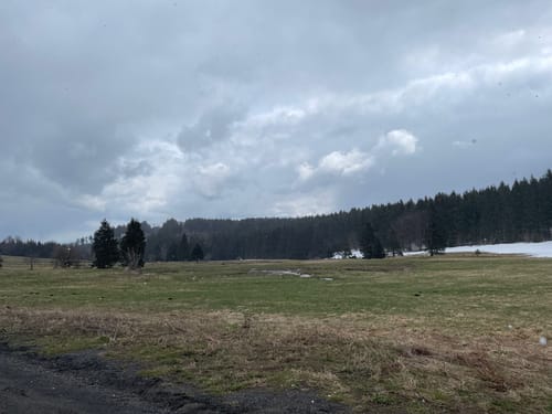 Rund um die Ebertswiese