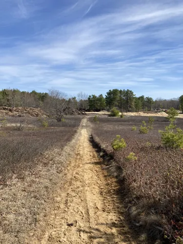 orchard beach bike path