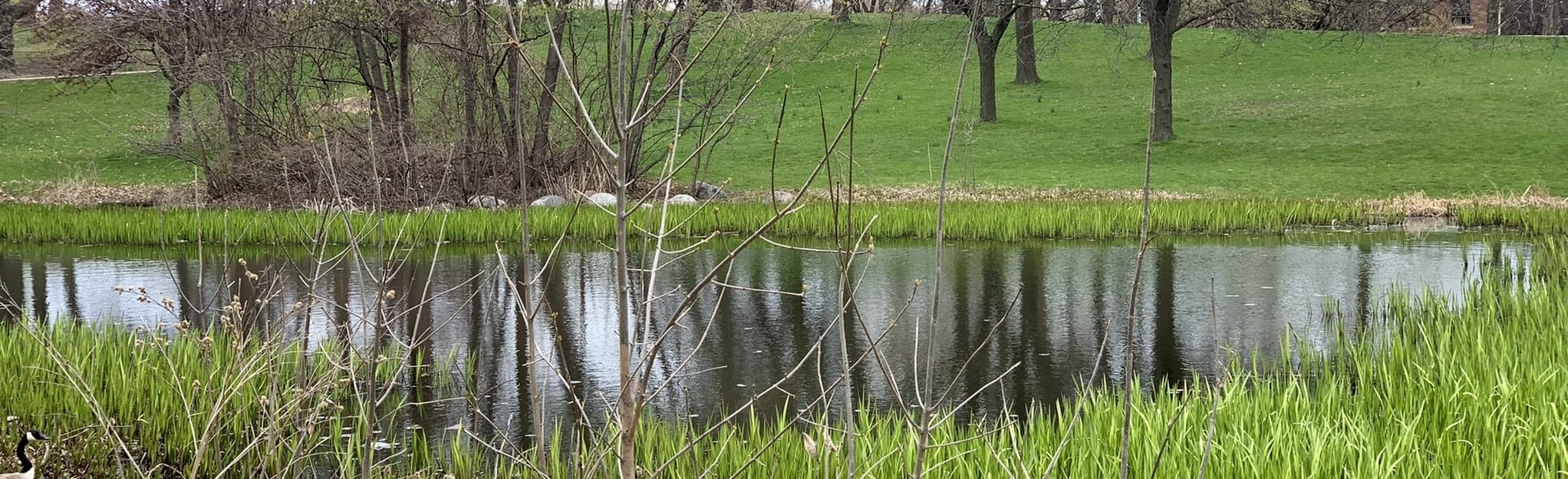 Humboldt Park Loop, Wisconsin 21 Reviews, Map AllTrails