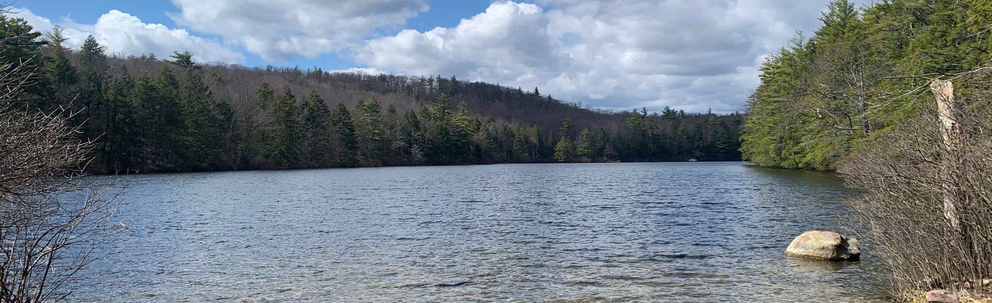 Ferrin Pond Loop, New Hampshire 73 Reviews, Map AllTrails