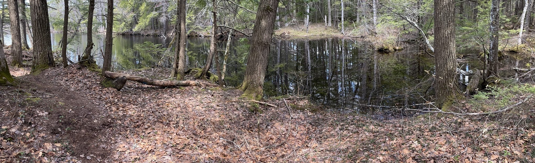 Shaker Woods Reserve Trail 23 foto Maine AllTrails