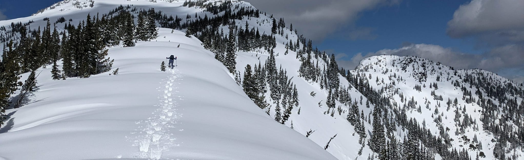 Thompson Peak, British Columbia, Canada - 16 Reviews, Map | AllTrails