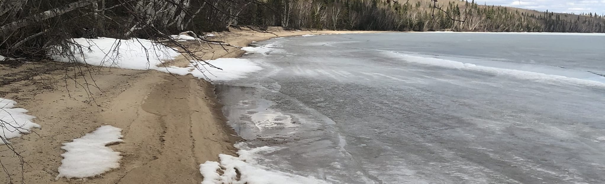 Iron Horse Millennium Trail, Alberta, Canada 13 Reviews, Map AllTrails