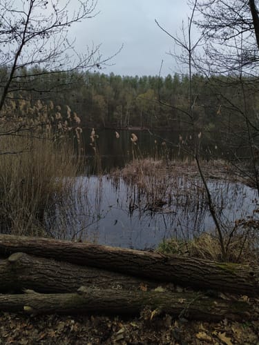 Liblar Ober-, Mittel- und Untersee