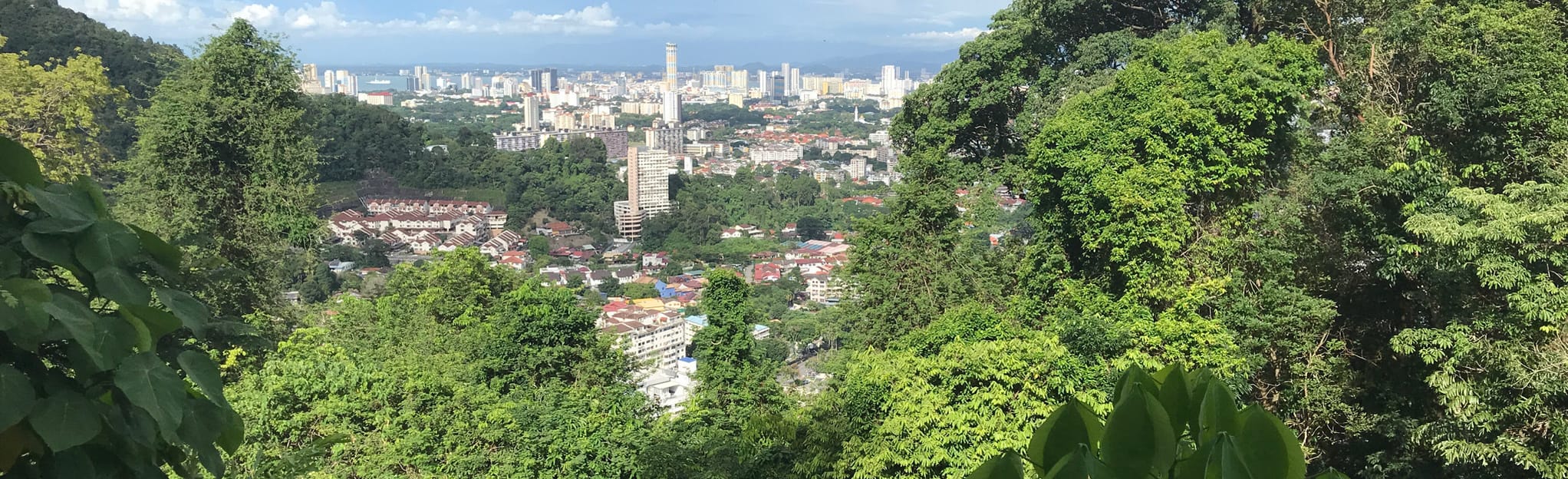 Taman LintangBukit Bendera 244 Fotos Penang, Malaysia AllTrails