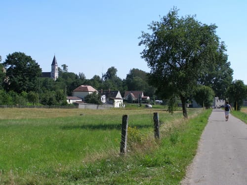 Dahlener Heide ab Bucha