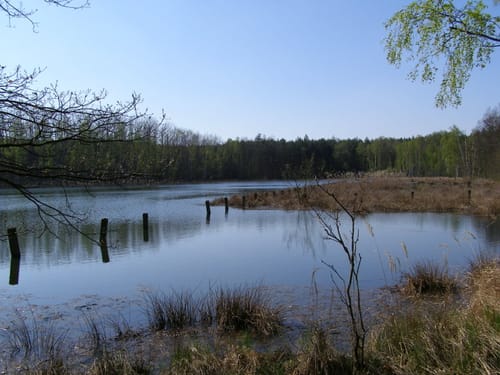 Rund um die Dahlener Heide