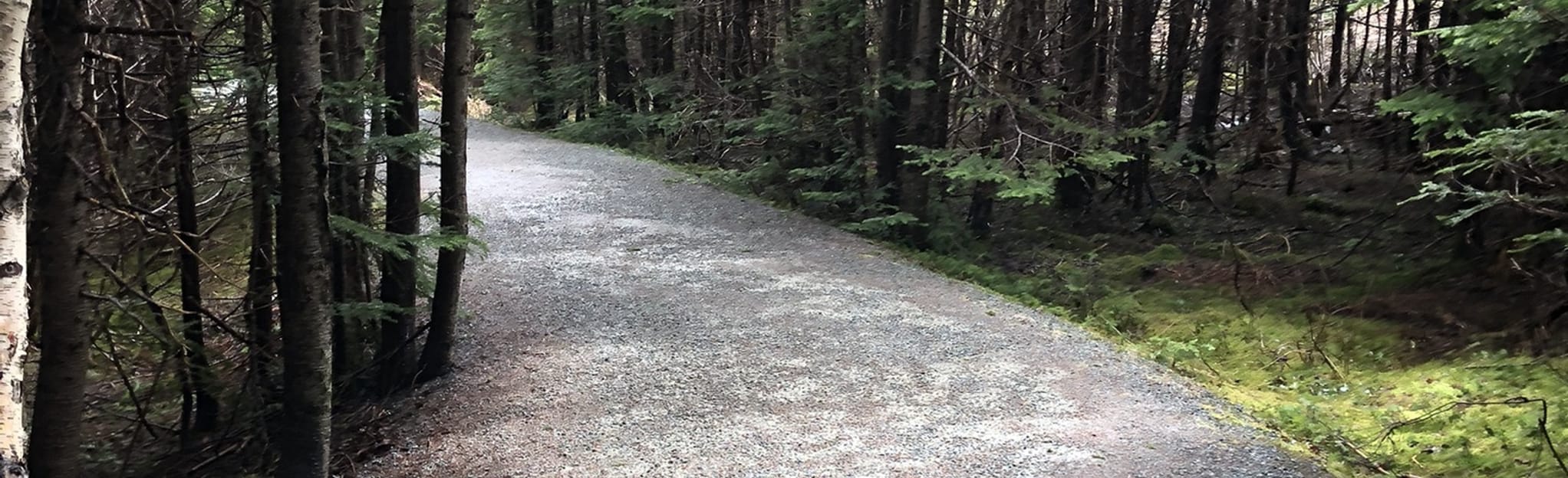 Southlands Trails: 14 foto's - Newfoundland en Labrador, Canada | AllTrails