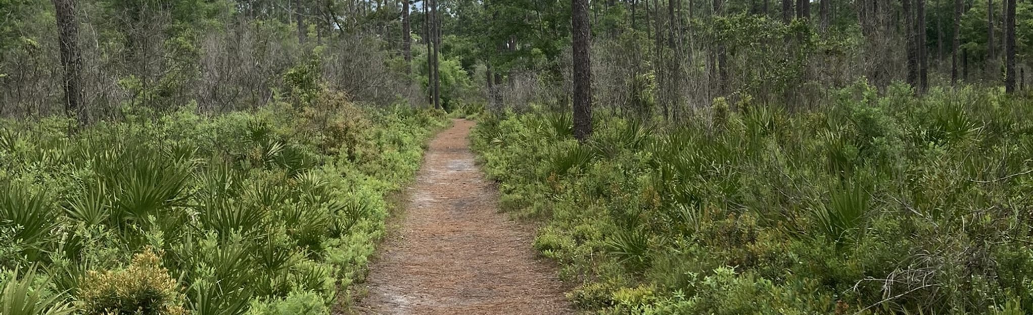 Crooked River Crooked River State Park to Brickhall Bluff 128 Reviews
